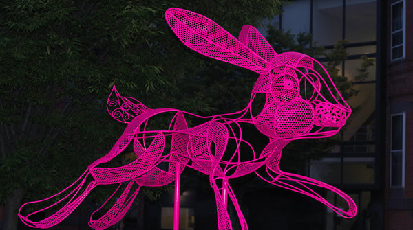 Follow The Pink Rabbit
