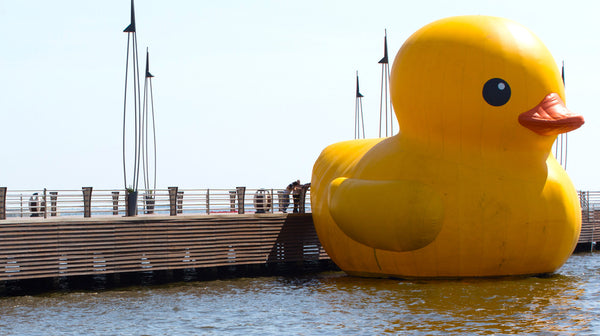 Rubber Ducky Floats in Los Angeles Harbor