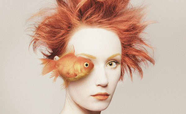 Artist Spotlight: Flora Borsi, The Artist and The Animal