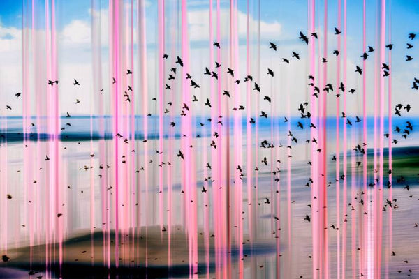 Cyber Seascape, Fine Art, Igor Vitomirov, Art Urbane