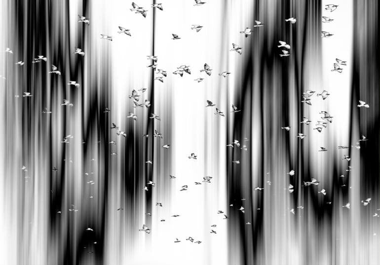 Abstraction X, Fine Art, Igor Vitomirov, Art Urbane