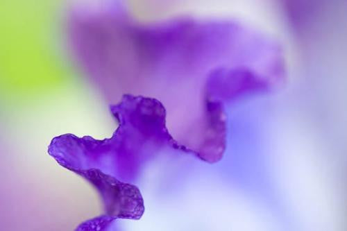 20140506-90, Fine Art, Byron Jorjorian, Art Urbane