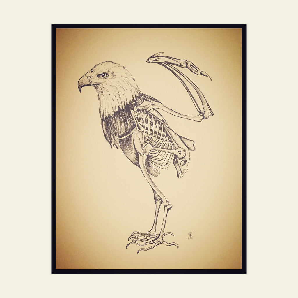 Extinction of Our National Symbol, Fine Art, Veronica Villarreal, Art Urbane