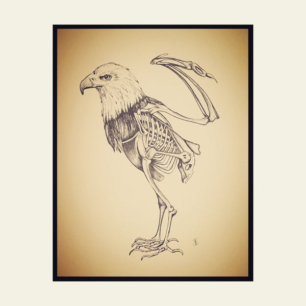 Extinction of Our National Symbol, Fine Art, Veronica Villarreal, Art Urbane