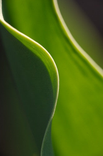 32507_202, Fine Art, Byron Jorjorian, Art Urbane