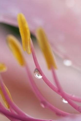 72705_13, Fine Art, Byron Jorjorian, Art Urbane