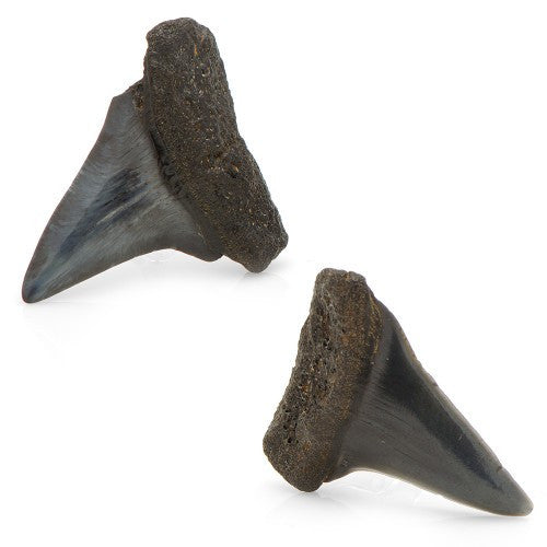 Maco Sharks Teeth Cufflinks, Fashion, Spivey, Art Urbane
